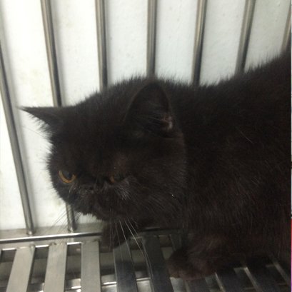 “ฮัดเช้ย ฮัดเช้ย ฮัดเช้ย อยากรู้จังเลยว่า ชีโร่ เป็นอะไรกันน้า”